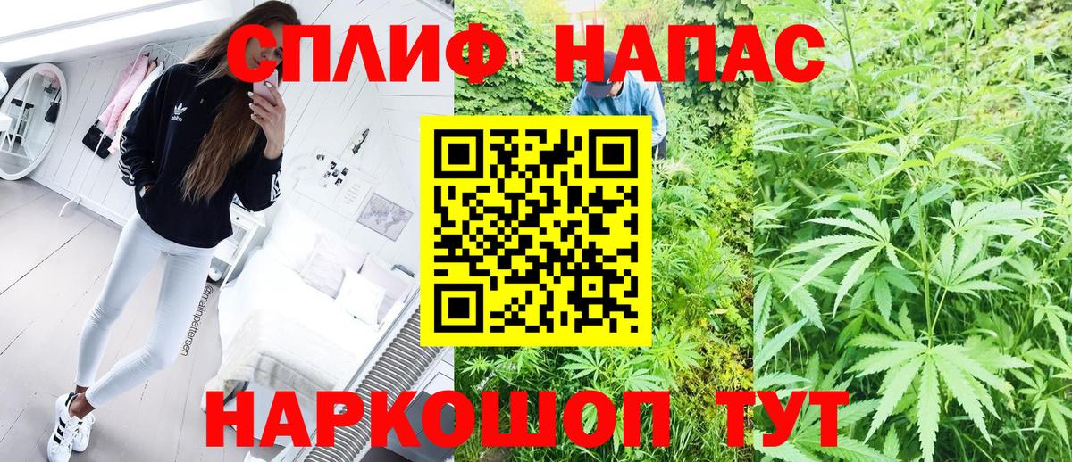 Бошки марихуана OG Kush Кириши